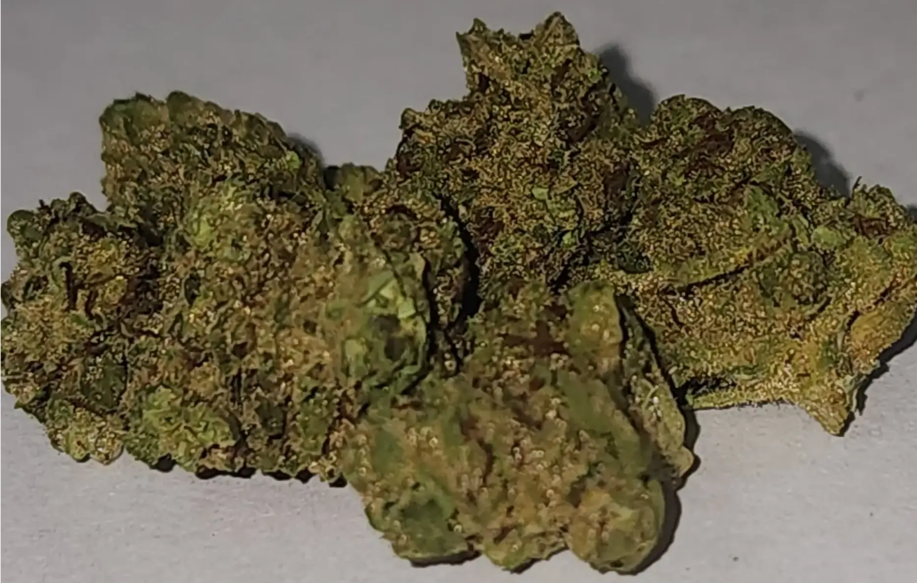 Cake Bomb strain flower